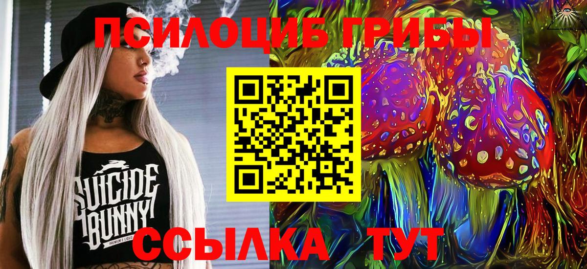 Галлюциногенные грибы Psilocybe  Вход с VPN  Сосновоборск  Галлюциногенные грибы MAGIC MUSHROOMS 